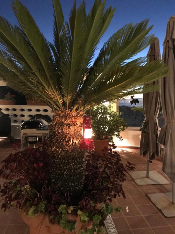 Max Chasma Aparthotel La Orotava Εξωτερικό φωτογραφία