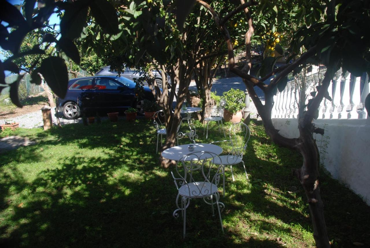 Max Chasma Aparthotel La Orotava Εξωτερικό φωτογραφία